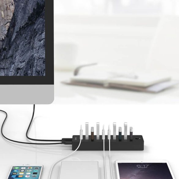 Orico 10in1 Hub 10xUSB-A elosztó hálózati töltővel 12V 3A, fekete